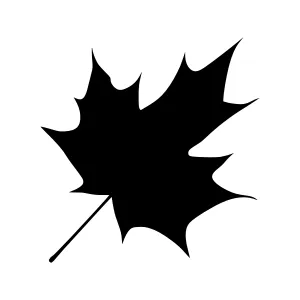 Black Maple Leaf Silhouette Vector