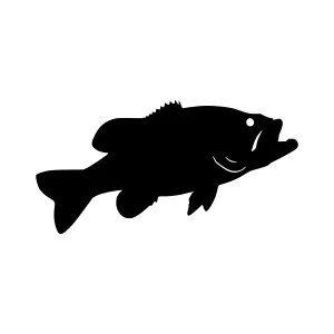 Black Bass Fish Silhouette Vector