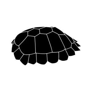 Black Turtle Silhouette Vector Icon