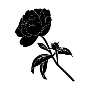 Black Silhouette Flower Illustration