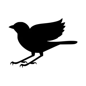Silhouette Bird Flying - Simple Vector Graphic