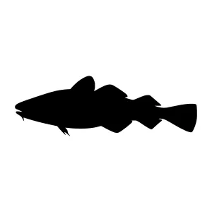 Silhouette Fish Vector Graphic