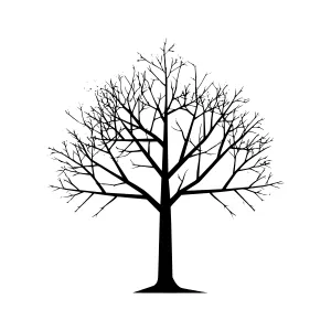 Silhouette Tree - Minimalist Black Tree Outline