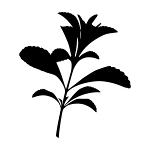 Black Silhouette Leaf Branch - Minimalist Design