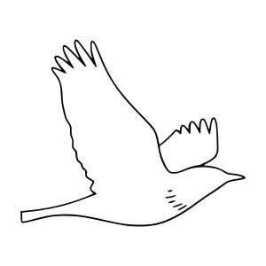 Line Art Bird in Flight - Minimalist Illustration