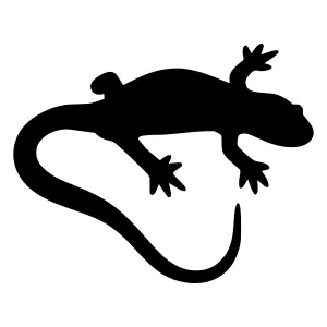 Black Silhouette Lizard Icon