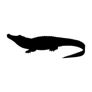 Black Silhouette Crocodile Vector Graphic