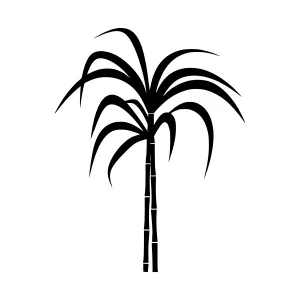 Palm Tree Silhouette Vector Icon