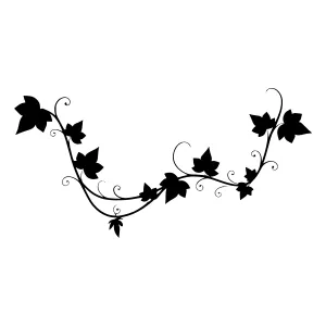 Black Ivy Vine Graphic Element