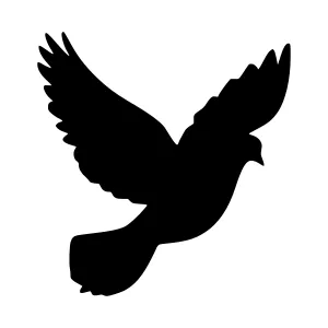 Silhouette Dove Flying - Black on White