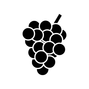 Black Grape Cluster Icon - Vector Illustration
