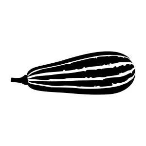 Black Zucchini Silhouette Vector Illustration