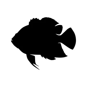 Black Silhouette Fish Vector Graphic