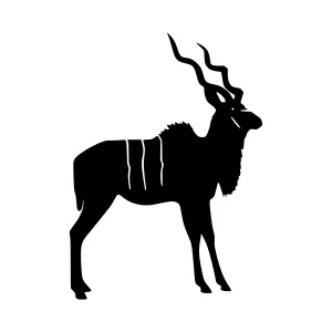 Kudu Silhouette - African Wildlife Vector