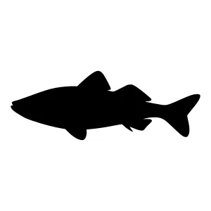 Black Fish Silhouette Vector Icon
