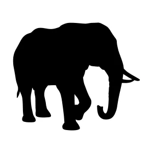 Black Elephant Silhouette Vector