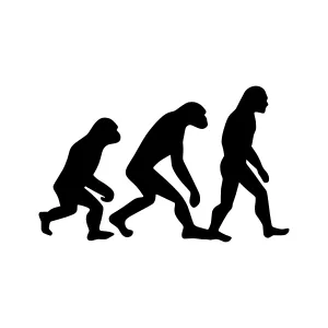 Evolution Timeline Silhouette Graphic