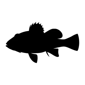 Black Silhouette Fish Vector Graphic