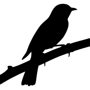 Silhouette Bird on Branch - Vector Graphic