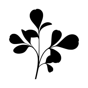 Black Leaf Silhouette Vector Illustration