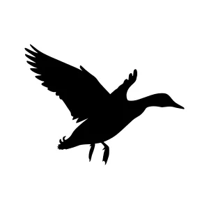 Silhouette Duck Flying - Vector Graphic