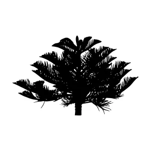Black Tree Silhouette Vector Illustration