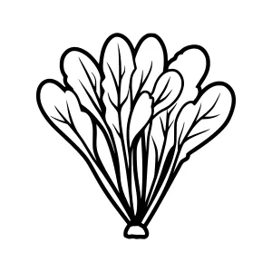 Black and White Fan Illustration