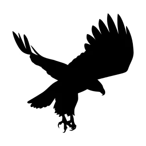 Black Eagle Silhouette - Flying Graphic