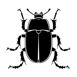 Black Beetle Silhouette Vector Illustration