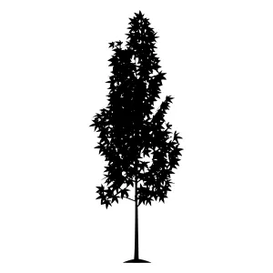 Black Tree Silhouette on White Background