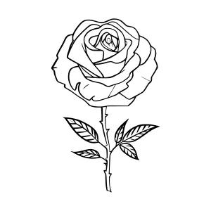 Black Rose Line Art Illustration