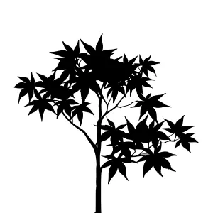 Black Silhouette Tree Leaf Vector Illustration