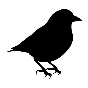 Black Bird Silhouette Vector Graphic