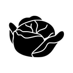 Black Cabbage Silhouette Icon