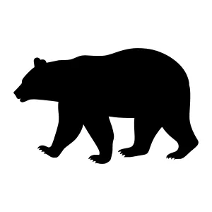 Black Bear Silhouette Vector Illustration