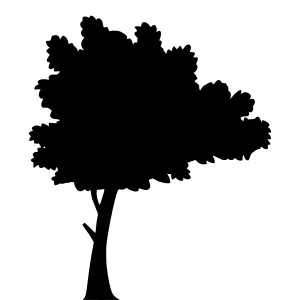 Silhouette Tree Vector Graphic