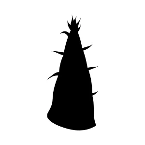 Black Cactus Silhouette Vector Illustration