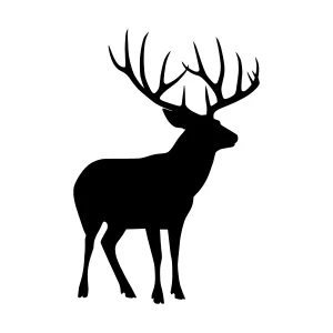 Silhouette Deer Head Graphic Vector Art