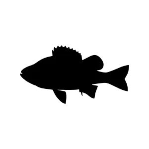 Fish Silhouette Vector Icon