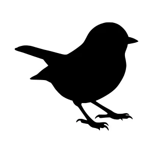 Silhouette Bird Vector Illustration