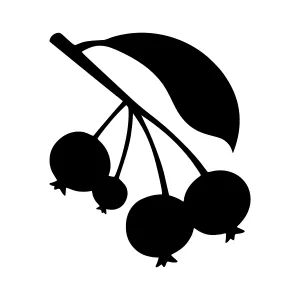 Black Berry Branch Silhouette