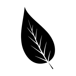Black Leaf Silhouette Icon - Minimalist Design