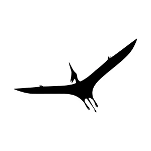 Silhouette Pterodactyl Flying