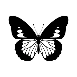 Black and White Butterfly Silhouette