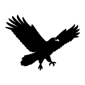 Black Eagle Silhouette Vector Graphic