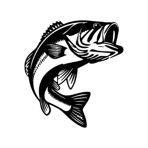 Black Bass Fish Illustration - Vector Graphic