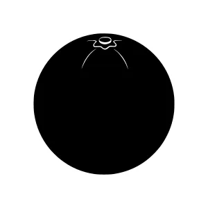 Minimalist Silhouette Head Icon