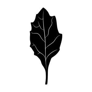 Black Leaf Silhouette Vector Icon