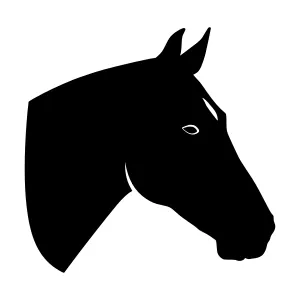 Black Horse Head Silhouette Vector Illustration