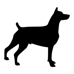Black Doberman Silhouette Vector